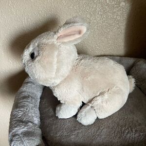 Nwot | Bunny plush 🐰